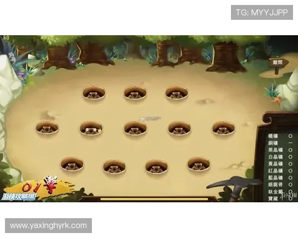 亚星游戏平台登录方式多样化，详细操作流程全攻略