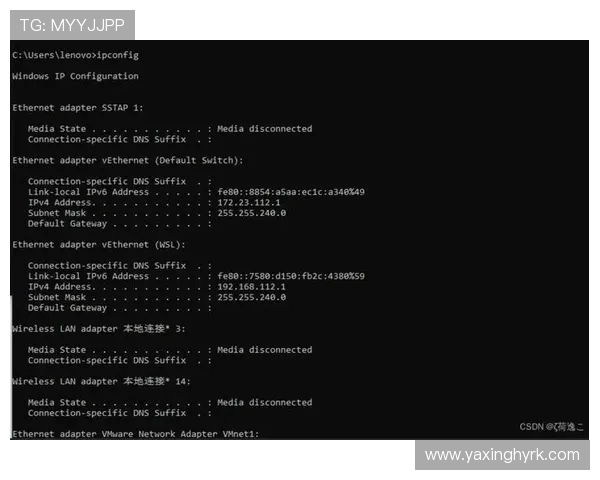 亚星管理平台 cmd3:提升企业管理效率的实用技巧与应用方案