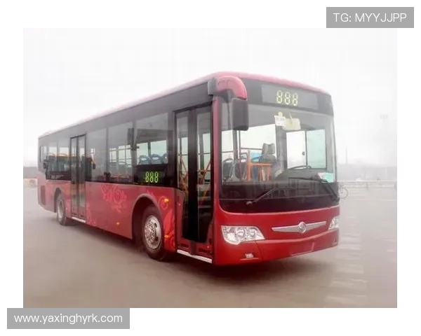 了解亚星客车地址信息,便于客户拜访与合作洽谈的详细地址介绍